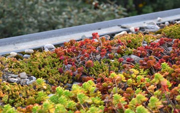 the cost of Much Birch green roof installation