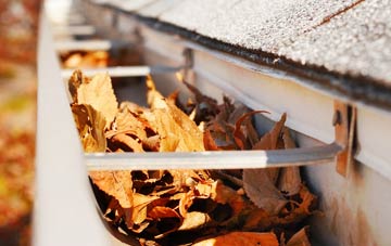 Much Birch gutter cleaning companies